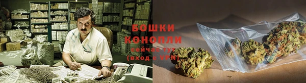 дживик Елабуга