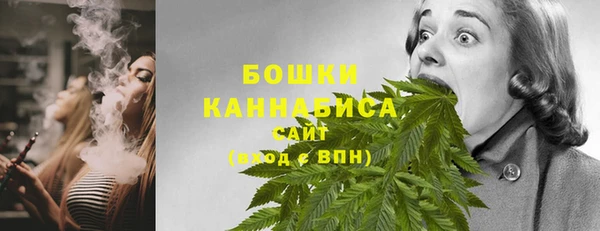 индика Ельня