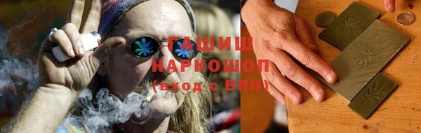 индика Ельня