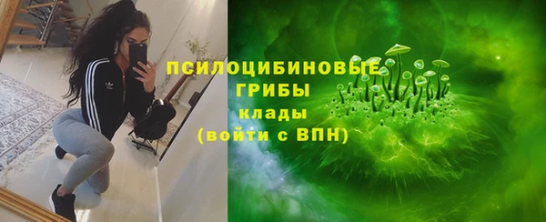 дживик Елабуга