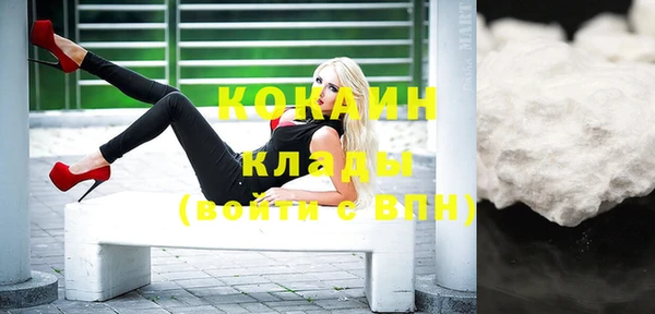 индика Ельня