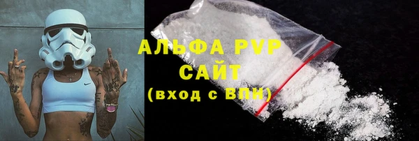 индика Ельня
