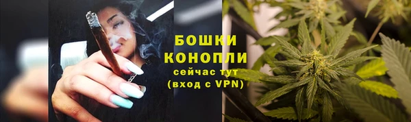 гидропоника Елизово