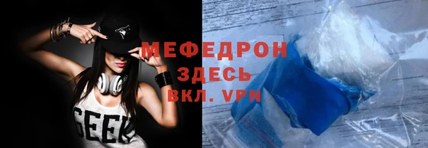 индика Ельня