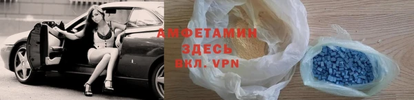 индика Ельня