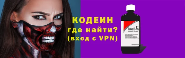 индика Ельня