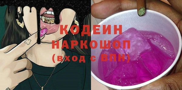 индика Ельня