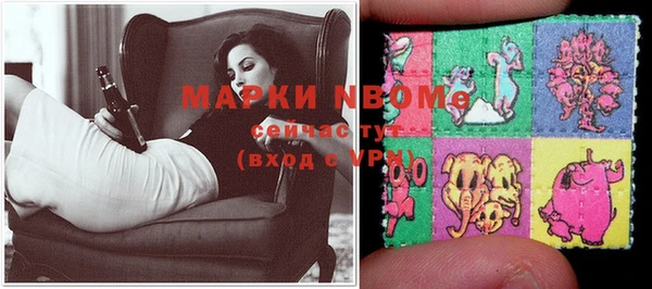 индика Ельня