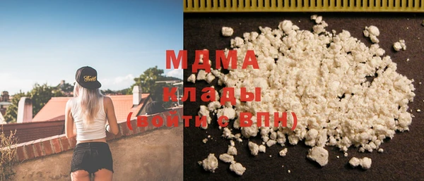 индика Ельня