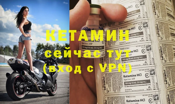 индика Ельня