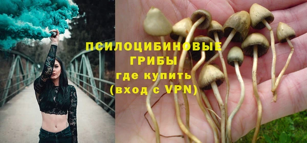 гидропоника Елизово