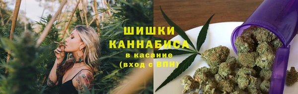 дживик Елабуга