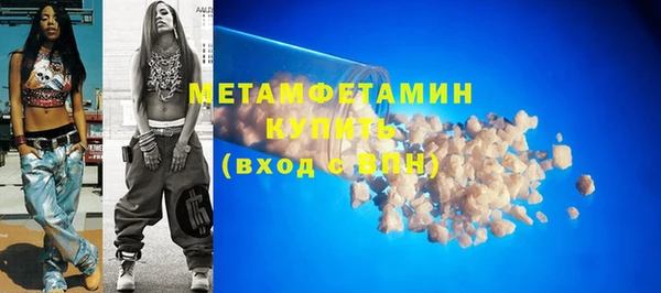 индика Ельня