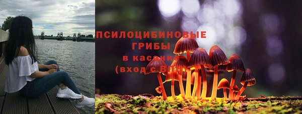 дживик Елабуга